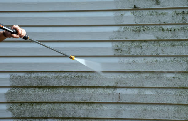 Best Driveway Pressure Washing  in Lodi, WI